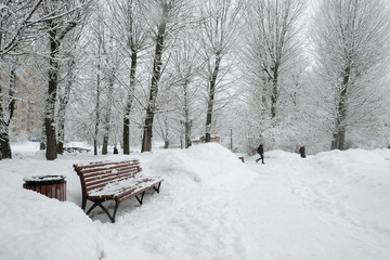 Wall Mural - a bench in a park in the city covered by snow in winter. Trees, paths, lake, buildings, everything iced