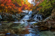 Scenic view of waterfall during autumn