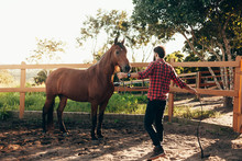 Man Training His Horse In The Corral