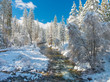 The Merced River as it flows through the hamlet of Wawona, Ca in mid-winter