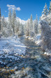 The Merced River as it flows through the hamlet of Wawona, Ca in mid-winter