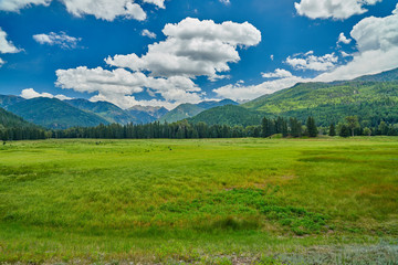 alpine meadow with mountains