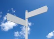 © MP - White blank signpost isolated on blue sky. White blank signpost isolated on blue sky 3d illustration..