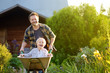 © Maria Sbytova - Happy little boy having fun in a wheelbarrow pushing by dad in domestic garden on warm sunny day.