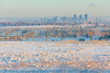 Frigid winter Calgary skyline with rays of golden morning sun