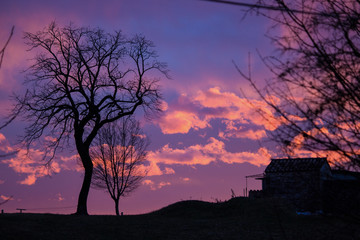 Canvas Print - Tramonto montagna