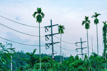 Electricity pole with silhouette sunset sky, Electricity pylon with shadow of tree in dawn time, Electricity power transmission line on sunset with copy space, Electricity pylon on orange sky