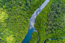 Tropical Rain Forest Mangrove River And Green Tree On Island