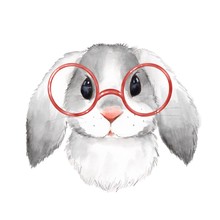 Little Bunny With Glasses. Cute Watercolor Illustration
