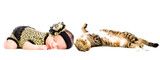 Fototapeta Zwierzęta - Cute  sleeping newborn girl and cat Scottish Fold isolated on white background