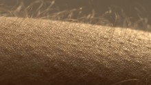 Goosebumps close up. Hair on the hand stand up and falls. Skin reaction to cold, fear, or good music. Horripilation on skin.