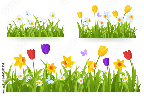 Fotomural Spring grass border with early spring flowers and butterfly isolated on white background