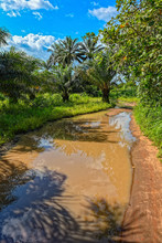 Typical Unpaved Rough Rain-flooded Road In Woodland In Guinea, West Africa.