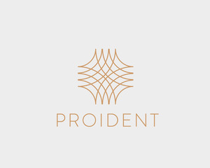 universal linear vector logo. abstract net luxury lines logotype.