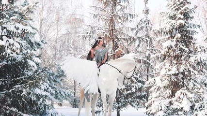 Wall Mural - charming pretty lady on pegasus sits in long gray cloak, puts her black hair, slim elegant rider like fairy tale character, princess and her loyal friend in winter snow forest, elf girl commands