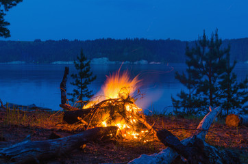 Wall Mural - Big night bonfire at the shore of the river in a forest glade, flames, sparks.