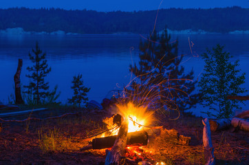 Wall Mural - Big night bonfire at the shore of the river in a forest glade, flames, sparks.