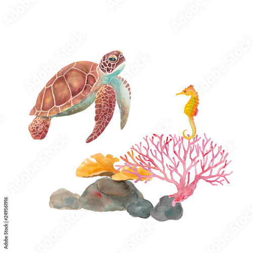 海の生き物の水彩イラスト ウミガメ タツノオトシゴ サンゴ Adobe Stock でこのストックイラストを購入して 類似のイラストをさらに検索 Adobe Stock