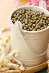 Green beans seed with fresh sprouts bean