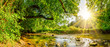 Beautiful forest panorama with brook and bright sun shining through the trees