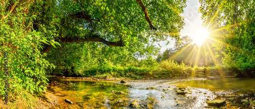 Fototapeta  Beautiful forest panorama with brook and bright sun shining through the trees