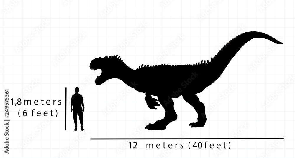 Allosaurus Size Comparison With Human Size Stock Illustration Adobe Stock