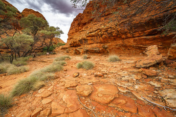 Wall Mural - hiking in kings canyon in watarrka national park, northern territory, australia 28