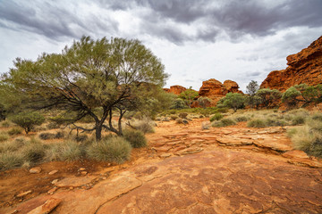 Wall Mural - hiking in kings canyon in watarrka national park, northern territory, australia 26