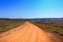 Dirt Road With The Meadow In Countryside