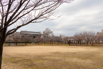 Wall Mural - Landscape of Urban Agricultural Park in Adachi city, Tokyo, Japan