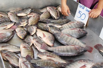 Sticker - Fresh fish for cooking at street food