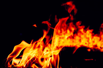 Fire flames on a black background