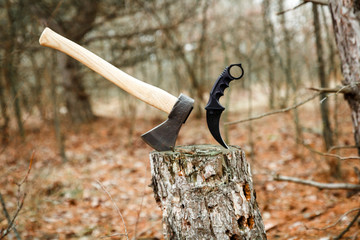 axe and karambit knife suck in the stump in the forest