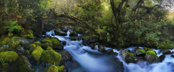 Wall Mural - Autumn Forest Landscape With Beautiful Falling Cascades Of Creek And And Colored Leaves On The Stones. Cold Mountain Stream Among The Stones With Moss And Leaves In The Water Amazing summer landscape