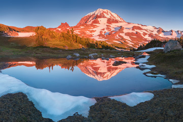 Wall Mural - the beauty & tranquility of a summer evening at mount rainier national park. tall evergreen trees th