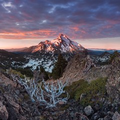 Wall Mural - at 10,492 feet high, mt jefferson is oregon's second tallest mountain.mount jefferson wilderness are