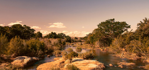 african landscape in the kruger national park, south africa