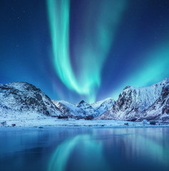 Wall Mural - aurora borealis on the lofoten islands, norway. green northern lights above mountains. night sky wit
