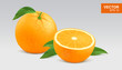 Realistic yellow orange vector illustration, icon. Whole and half slice of orange