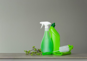 Green set for spring cleaning and a few twigs with young spring leaves. Copy space, neutral background.