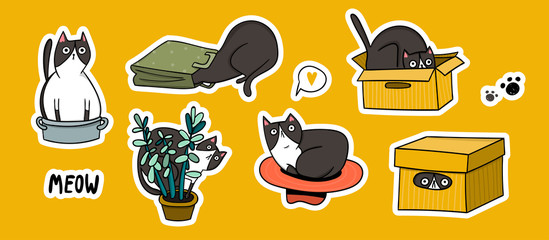 Wall Mural - Cute black and white cat hiding in various objects. Hand drawn colored vector set. Pre-made stickers. All elements are isolated