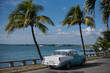 baby-blue and white classic car under palm trees in front of carribbean sea in cuba 