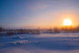 Fototapeta Na sufit - Cold morning in Siberia 