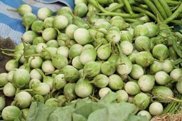 Wall Mural - Fresh eggplant green organic at street food