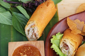 Canvas Print - fried spring rolls traditional for appetizer food