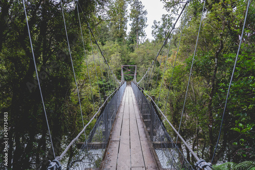 Obrazy most w dżungli  most-spacerowy-po-drzewie
