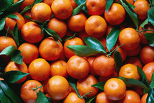 Fresh Tangerines With Stems And Leaves, For Sale At Market.