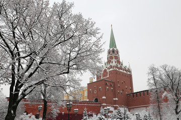 Wall Mural - Moscow Kremlin during snowfall, winter landscape with snow covered trees. Troitskaya tower in the Alexander garden, cold weather, landmarks of Russia