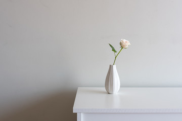 Close up of single pale pink rose in small vase on white sideboard against neutral wall background with copy space to left