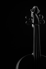 Wall Mural - neck violin close up on a black background